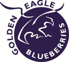 Golden Eagle Blueberries